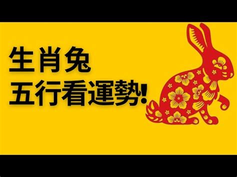 屬兔五行屬什麼|【屬兔生肖及五行】屬兔五行屬什么生肖兔五行喜忌查。